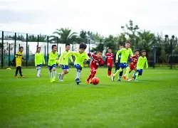 新赛季,新星闪耀登,出场人次激,kaiyun,开云,开云在线,开云体育,开云娱乐,开云官网,开云APP