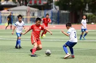 郑智有望执,掌西海岸教,北青曝双方,kaiyun,开云,开云在线,开云体育,开云娱乐,开云官网,开云APP