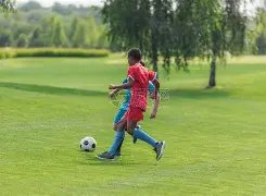 揭秘罗德里,戈对内马尔,的深情祝福,kaiyun,开云,开云在线,开云体育,开云娱乐,开云官网,开云APP