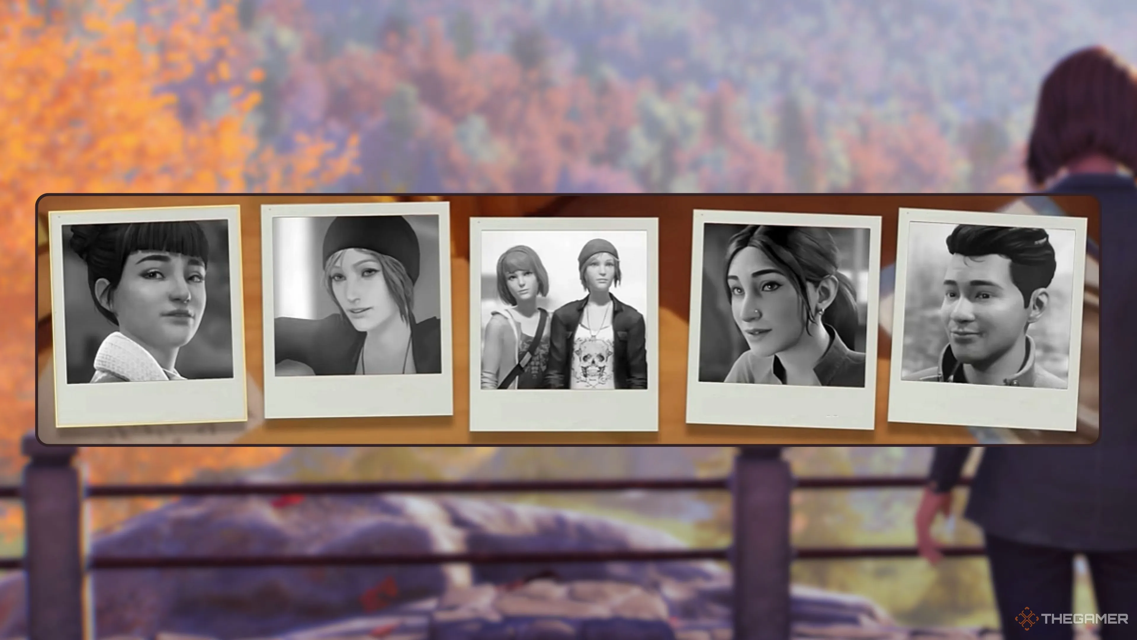 赵继伟半场,表现卓越,送出,kaiyun,开云,开云在线,开云体育,开云娱乐,开云官网,开云APP