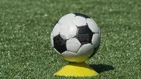 申花面临关键抉择：特谢拉、马纳法、路易斯合同到期，未来谁将续约加盟？