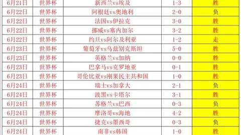 开云体育 141511